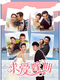 求爱嫁期(全集)