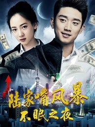 陆家嘴风暴：不眠之夜(全集)