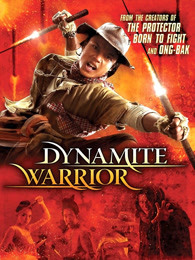 拳霸3之火云盗(全集)