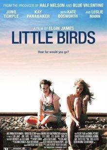 我们是一群小小鸟(全集)