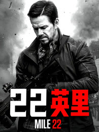 22英里(全集)