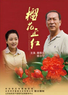 榴花正红(全集)
