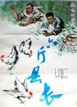 六斤县长(全集)