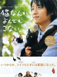 为什么猫都叫不来(全集)