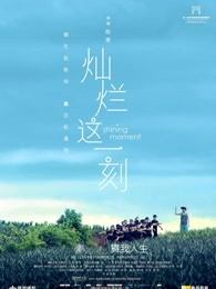 灿烂这一刻(全集)