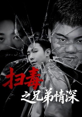 扫毒之兄弟情深(全集)